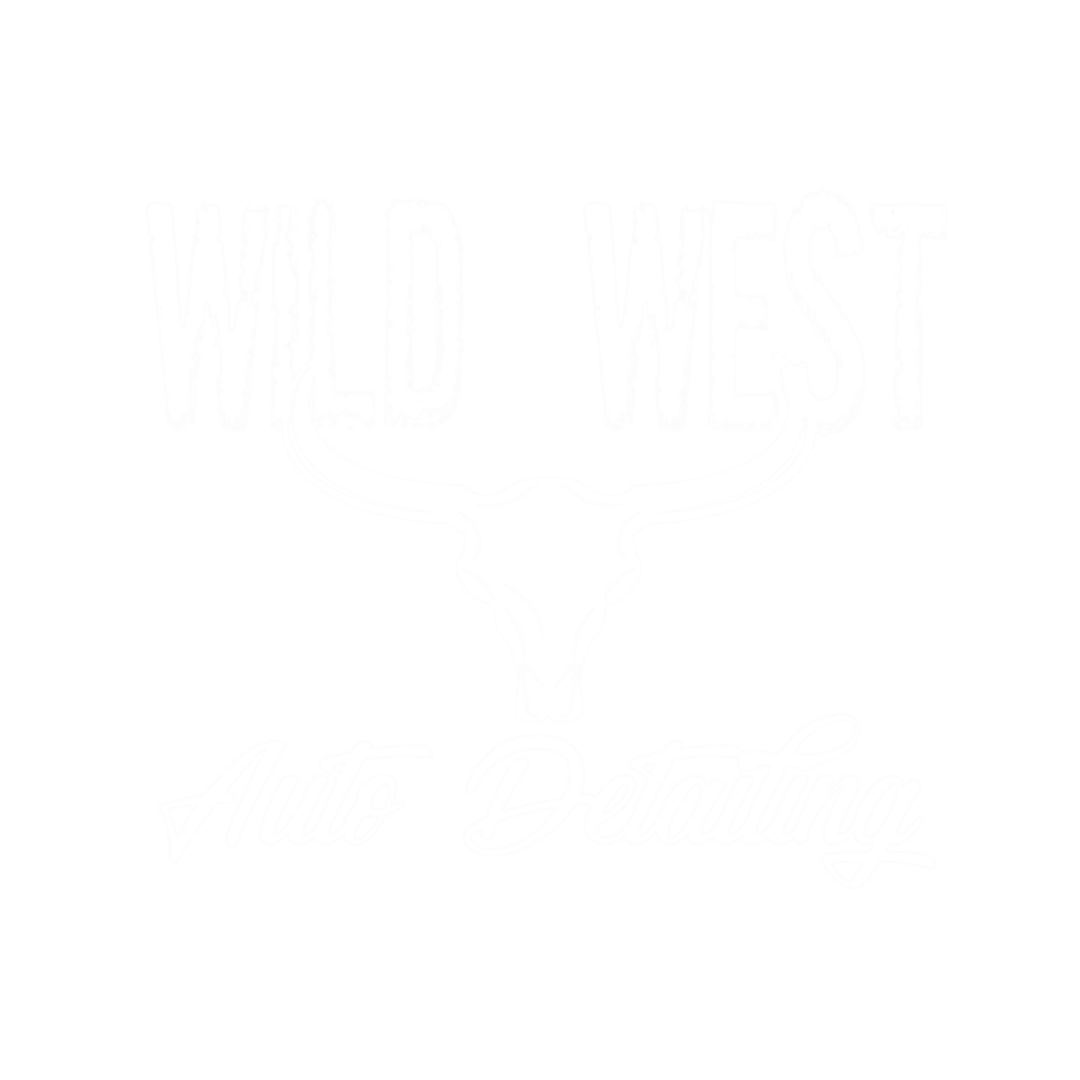 Wild West Auto Detailing